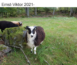 Ernst-Viktor 2021.jpg